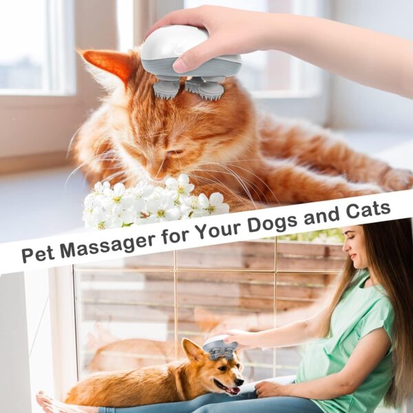 Pet massage